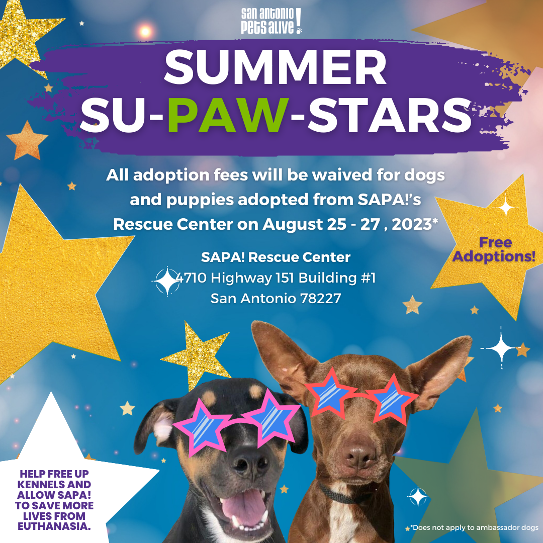 Summer SU-PAW-STARS Adoption Event! Free Adoptions! 
